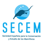 secem secem